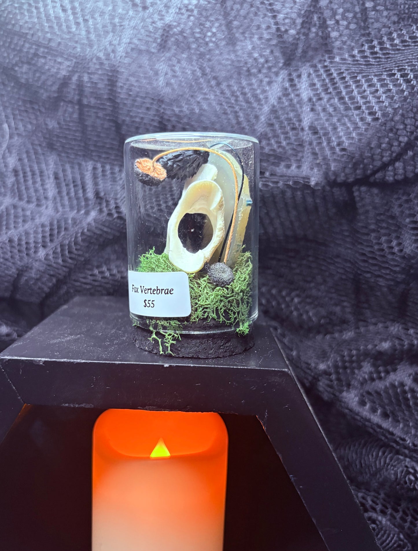 Fox Vertebrae and Crystal