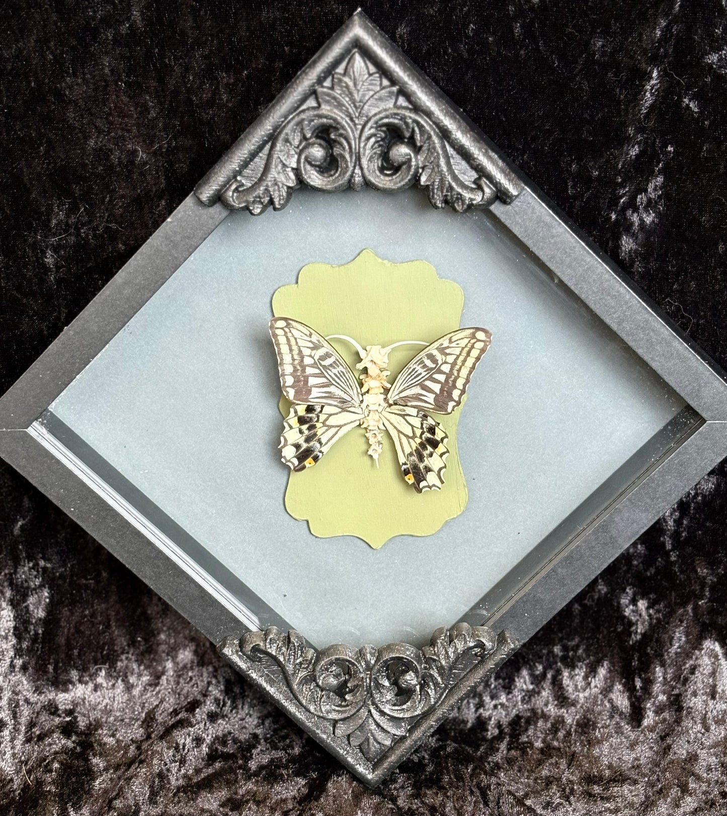 Bone Butterfly