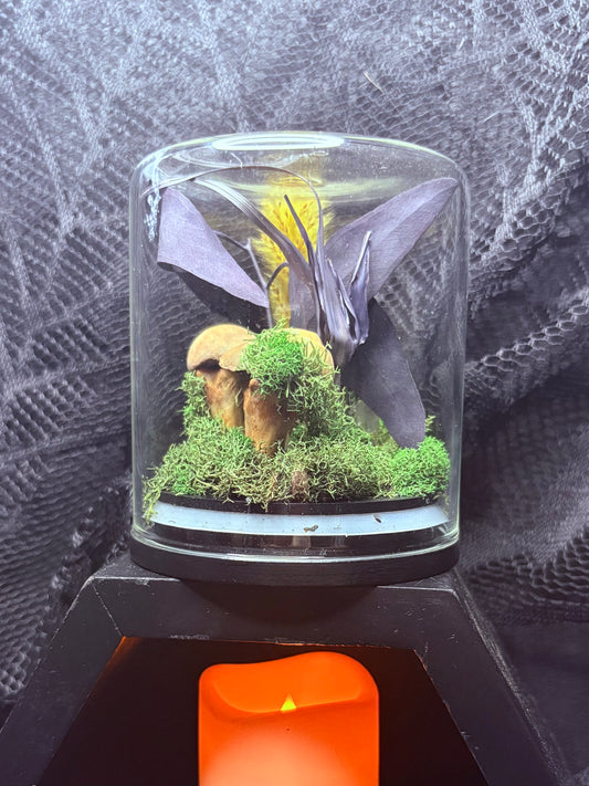 Foraged Bone Mushrooms