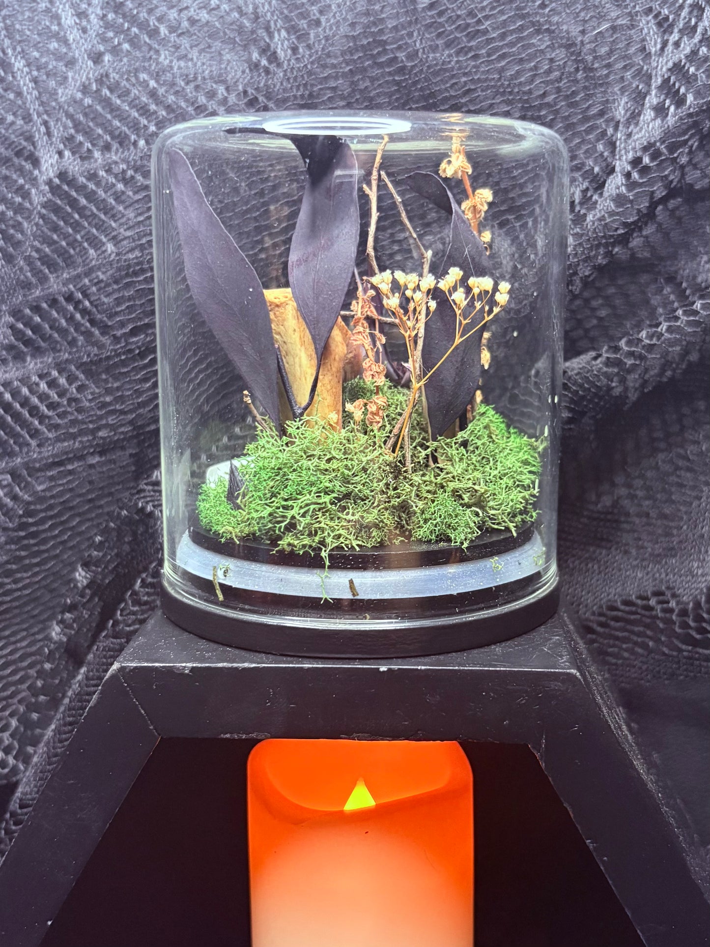 Foraged Bones and Rat Jaws