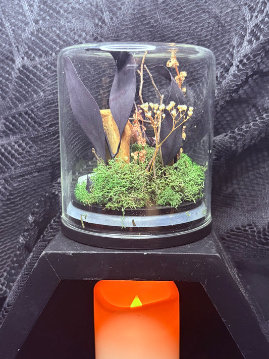 Foraged Bones and Rat Jaws