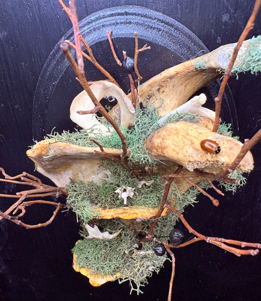 Human Scapula with Rat Bones, Ladybugs, and Rattlesnake Vertebrae