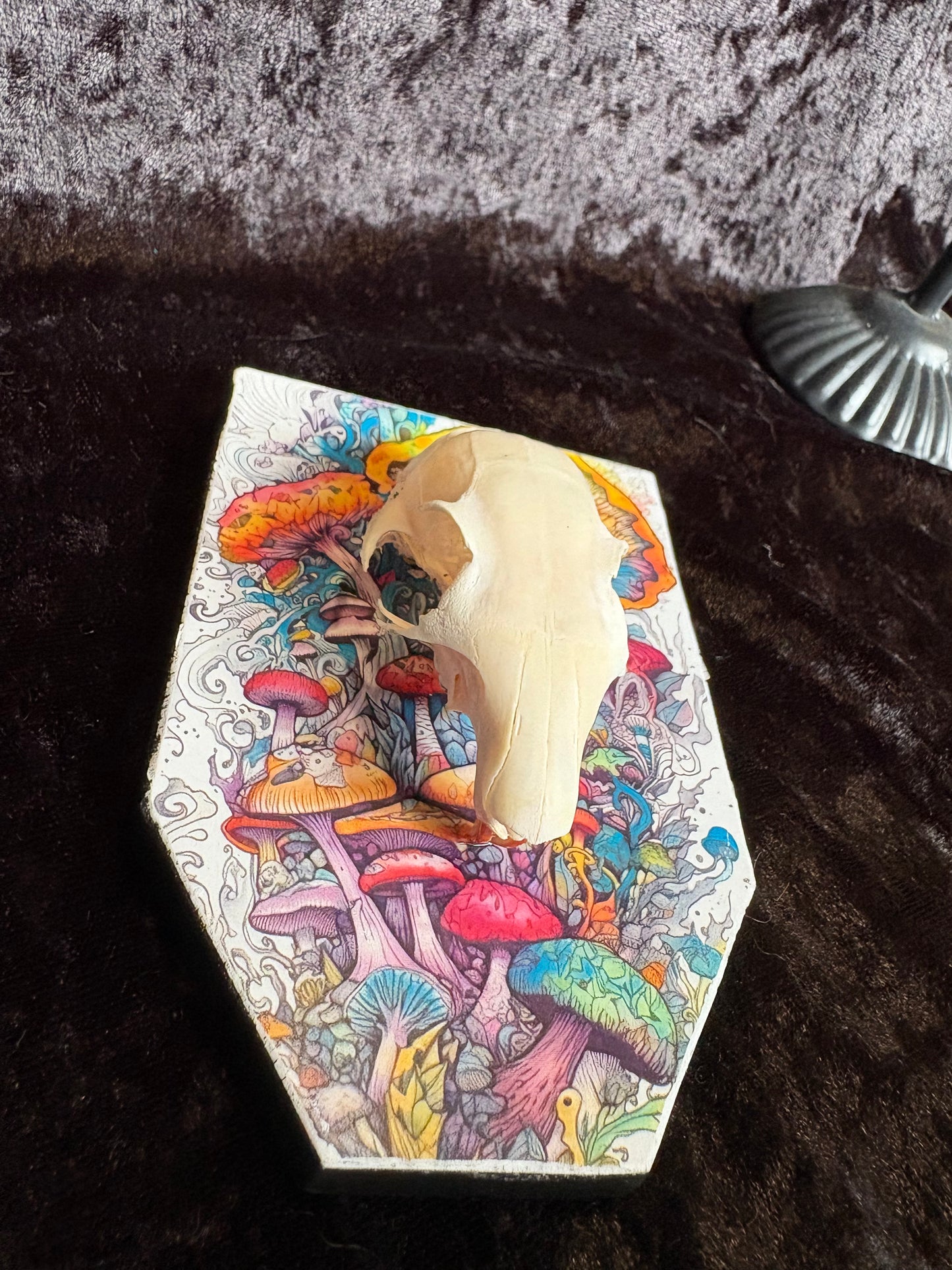 Squirrel Skull