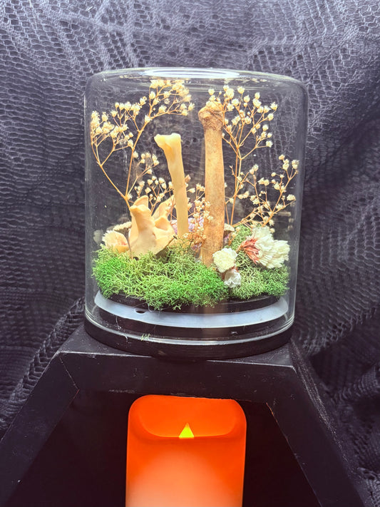 Possum Vertebrae, Amethyst, and Foraged Bones