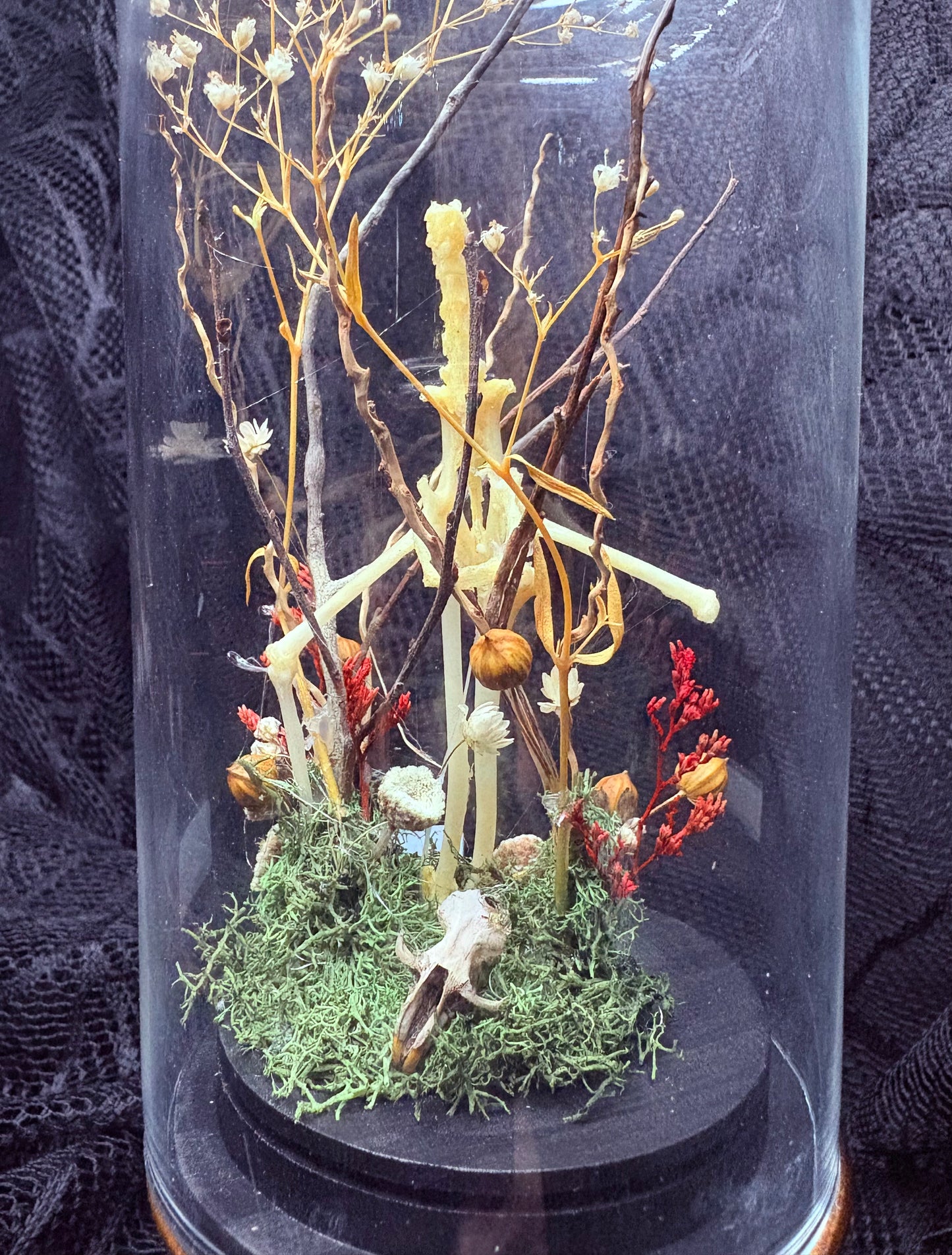 Bat Bones and Rat Skull