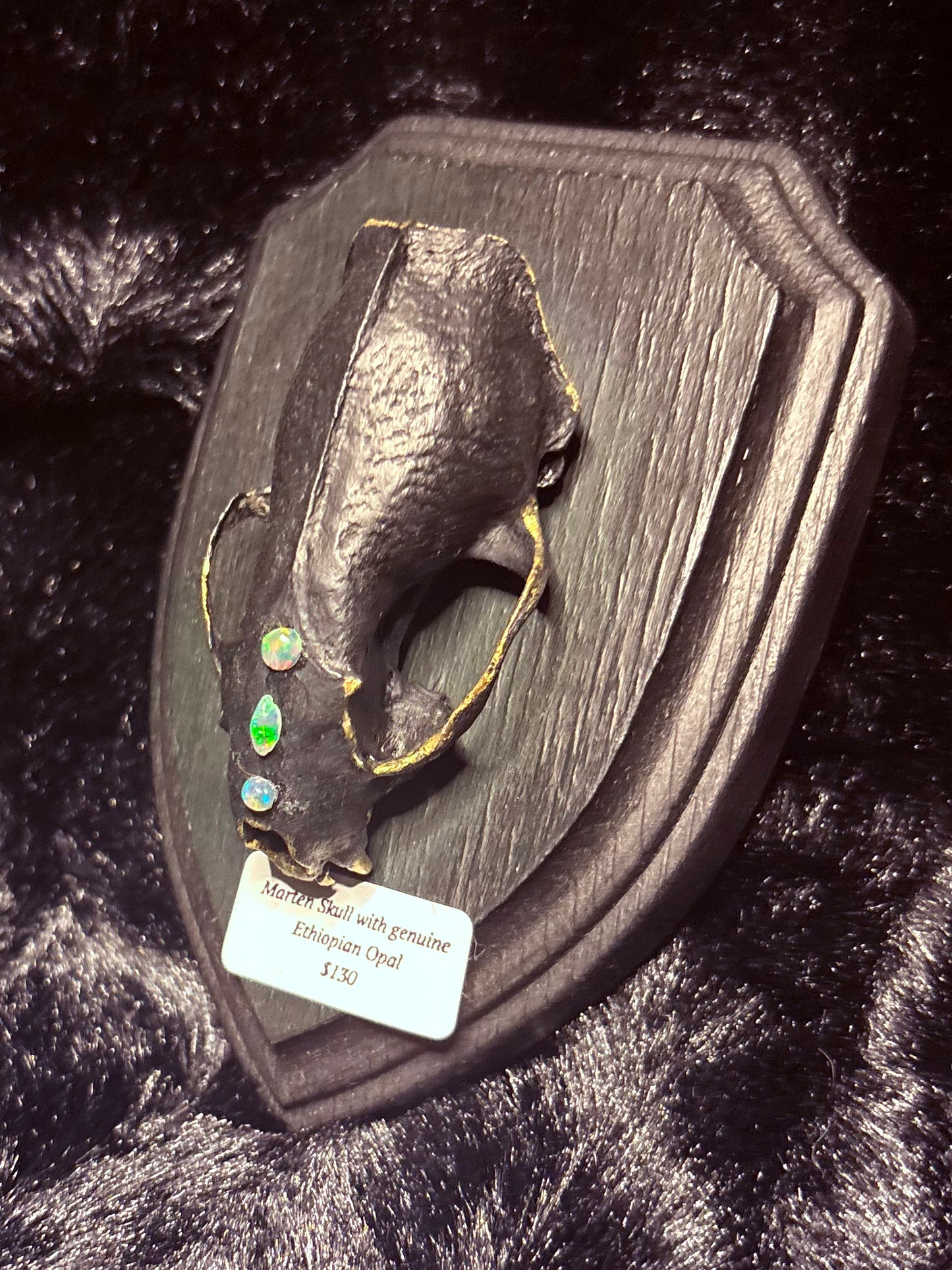 Marten Skull & 3 Opals