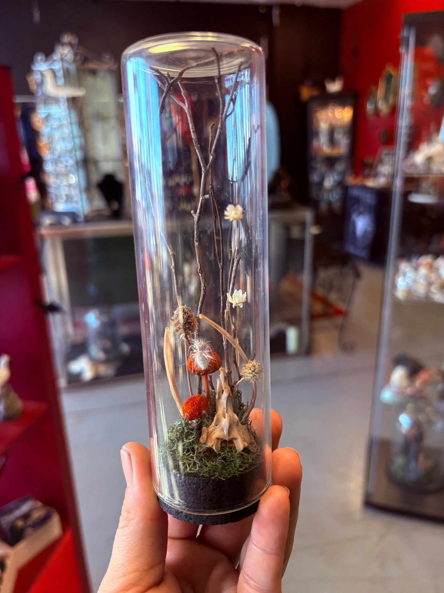 White Velvet Cow Killer