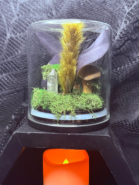 Foraged Bone Mushrooms