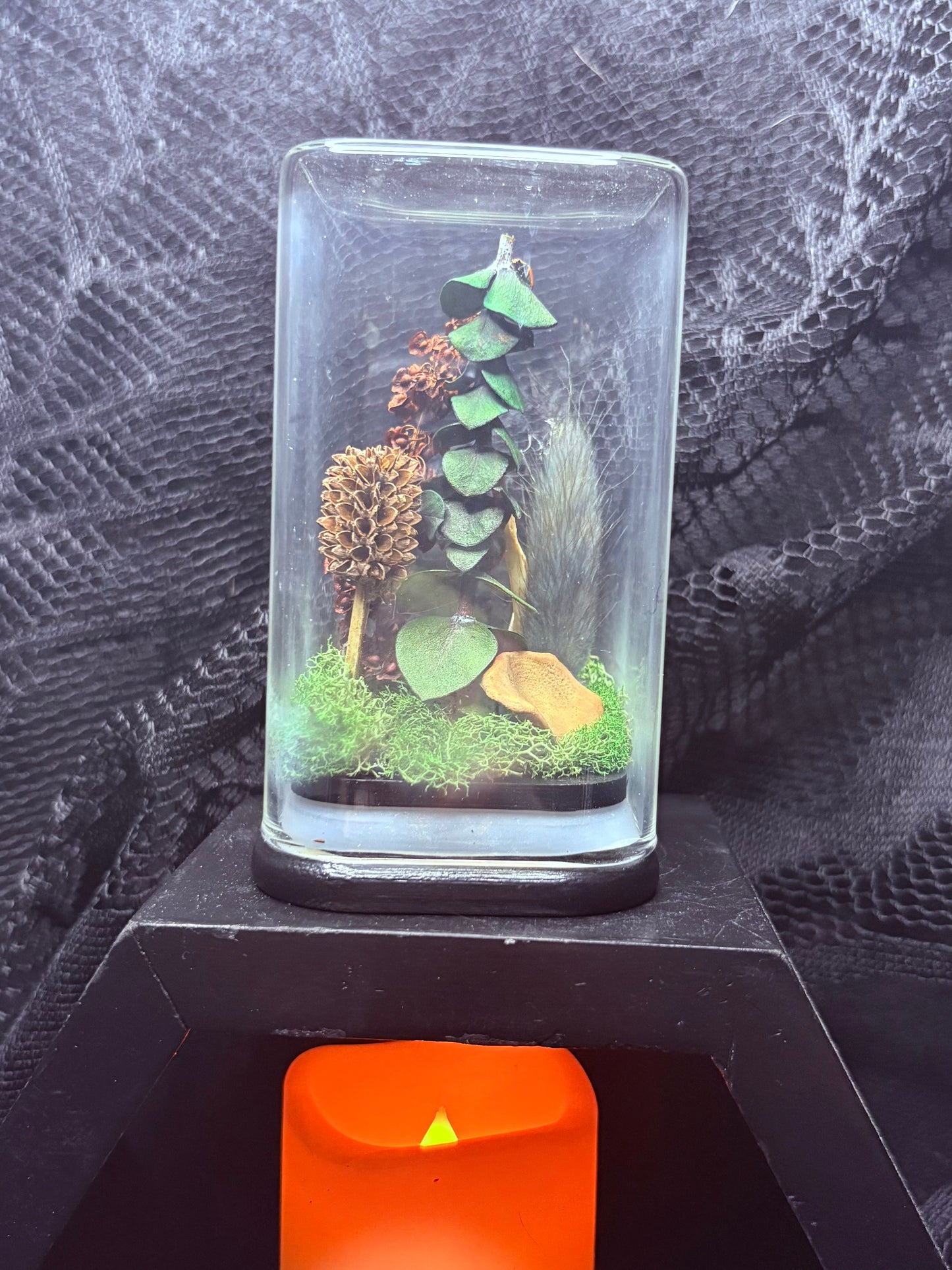 Foraged Bones and Possum Vertebrae