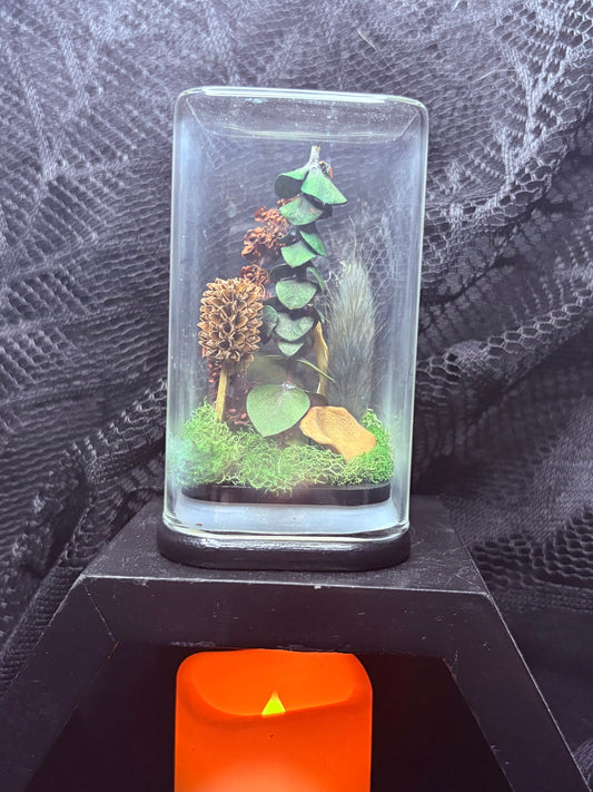 Foraged Bones and Possum Vertebrae