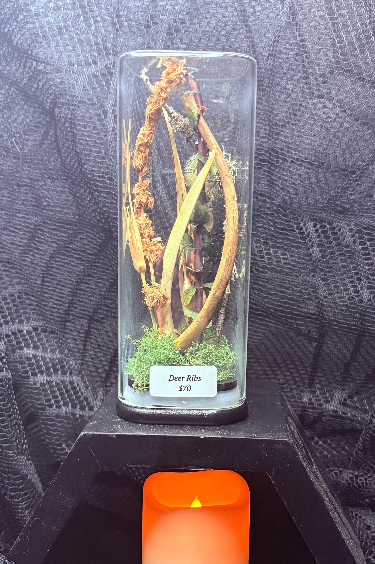 Deer Rib Bone Garden