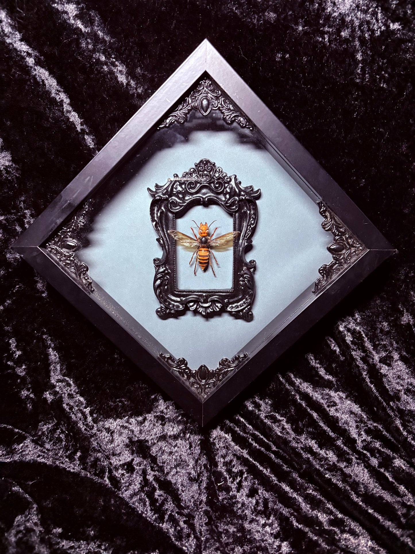 Murder Hornet Worker