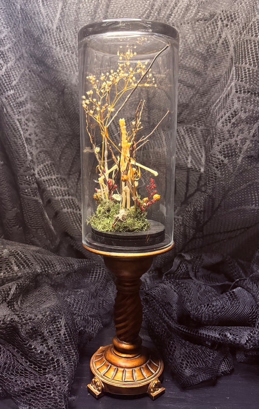 Bat Bones and Rat Skull