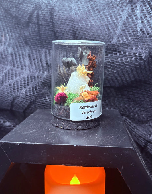 Rattlesnake Vertebrae and Geodes