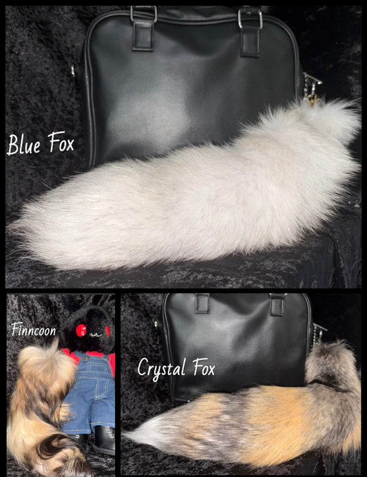 Fox & Coyote Tails