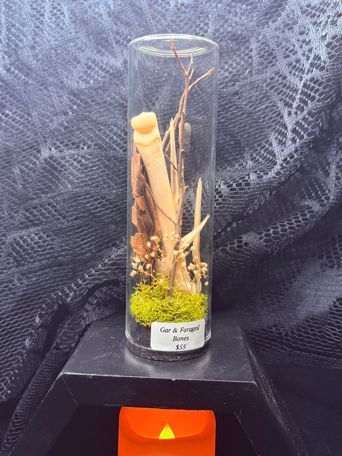 Gar Bones and Foraged Bones