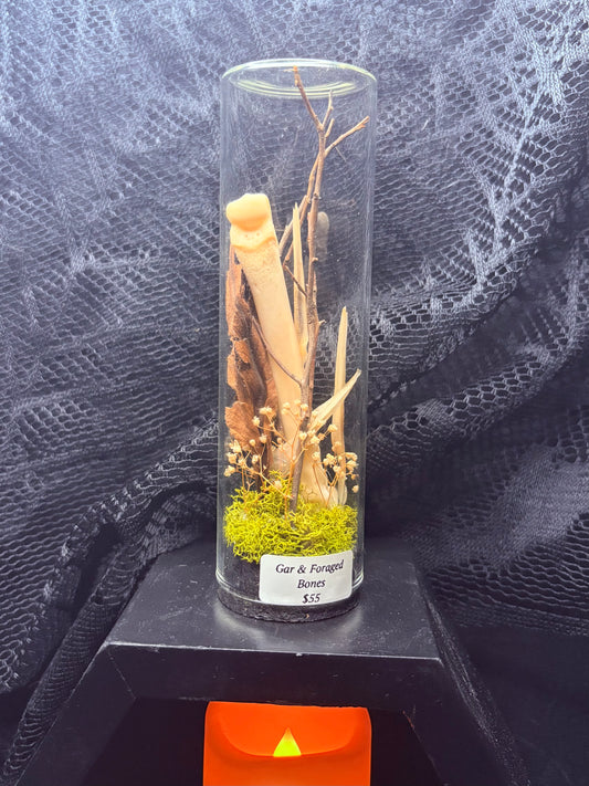 Gar Bones and Foraged Bones