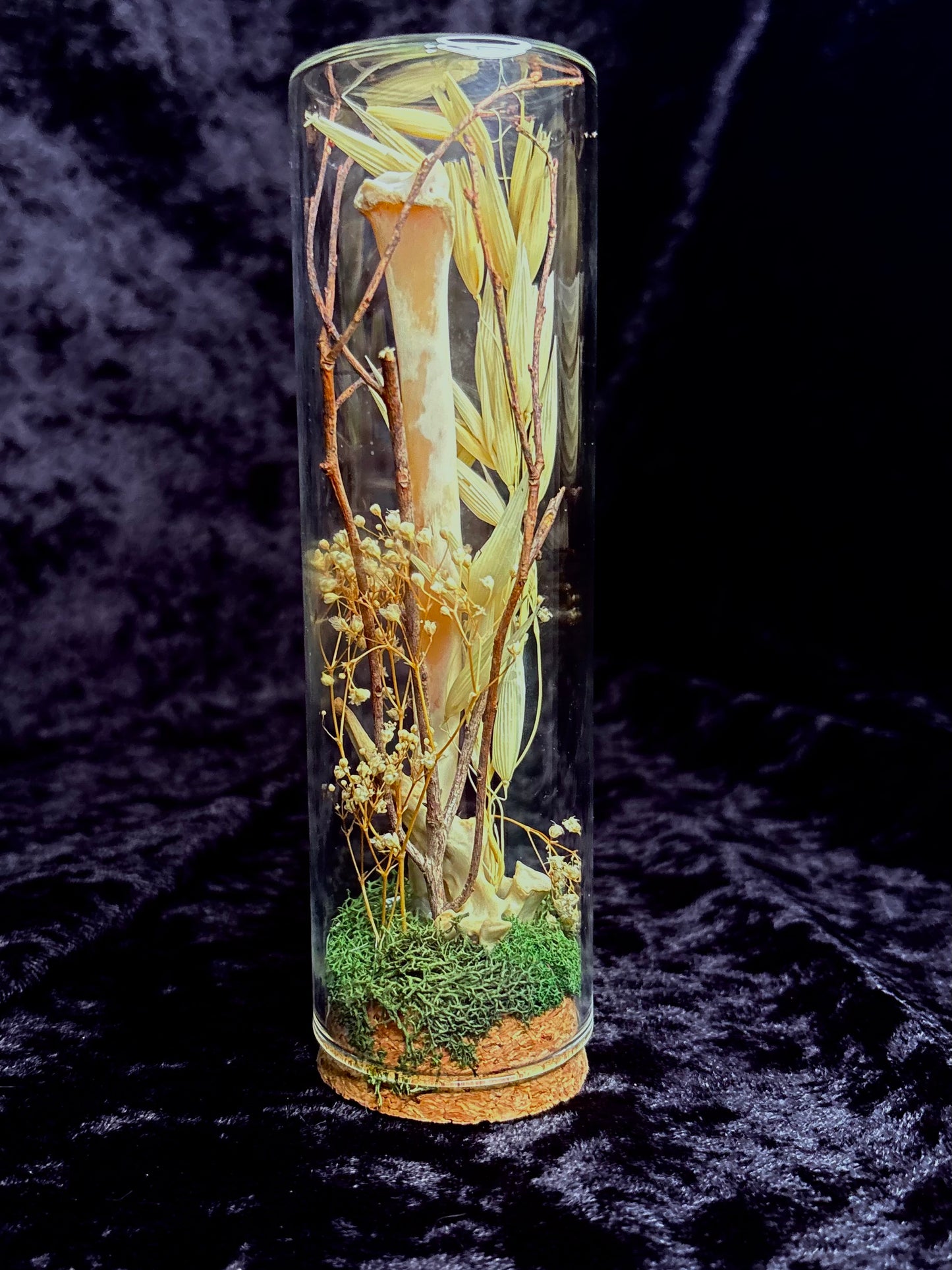 Foraged Bone & Possum Vertebrae Bone Garden