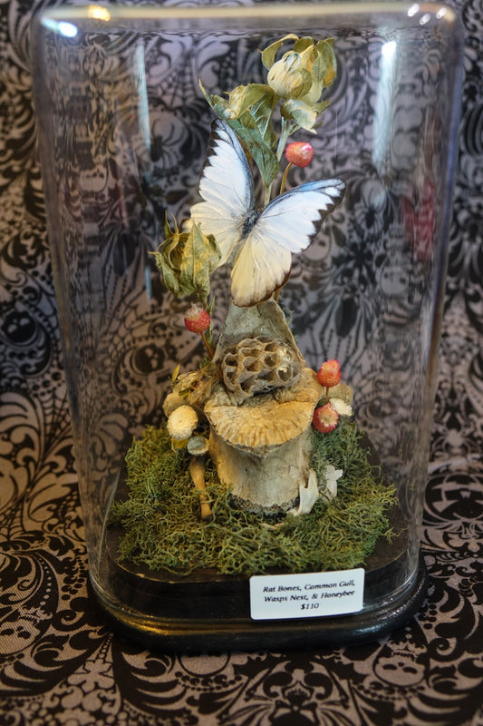 “A Fae’s Chair” Bell Jar