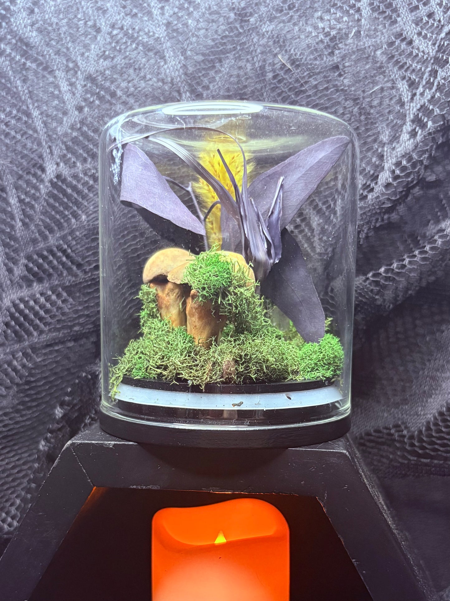 Foraged Bone Mushrooms