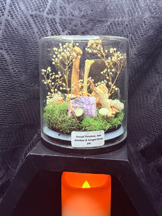 Possum Vertebrae, Amethyst, and Foraged Bones