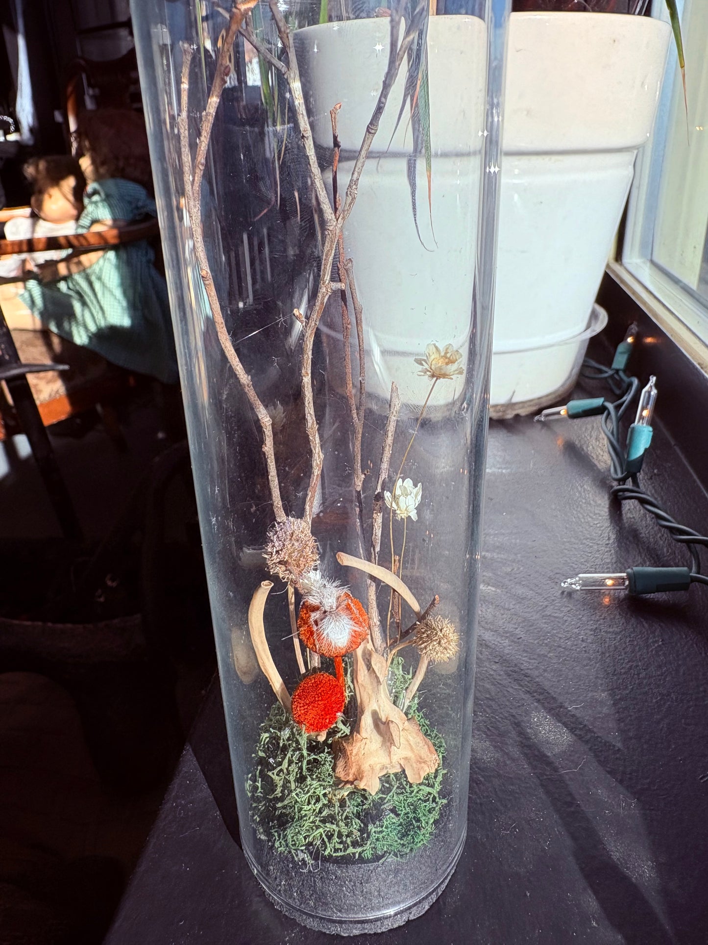 White Velvet Cow Killer