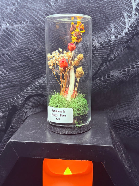 Rat Bones and Foraged Bones