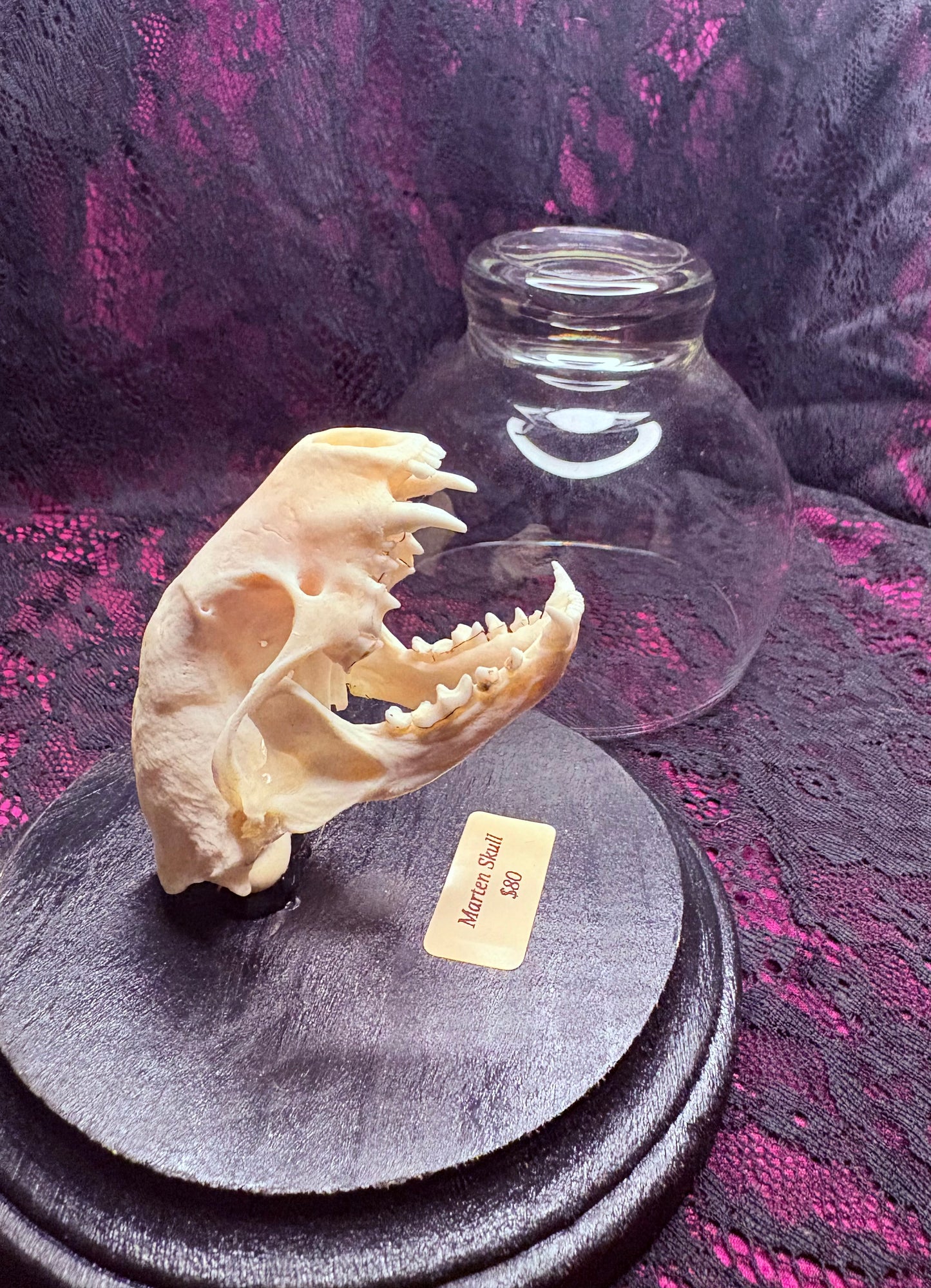Marten Skull
