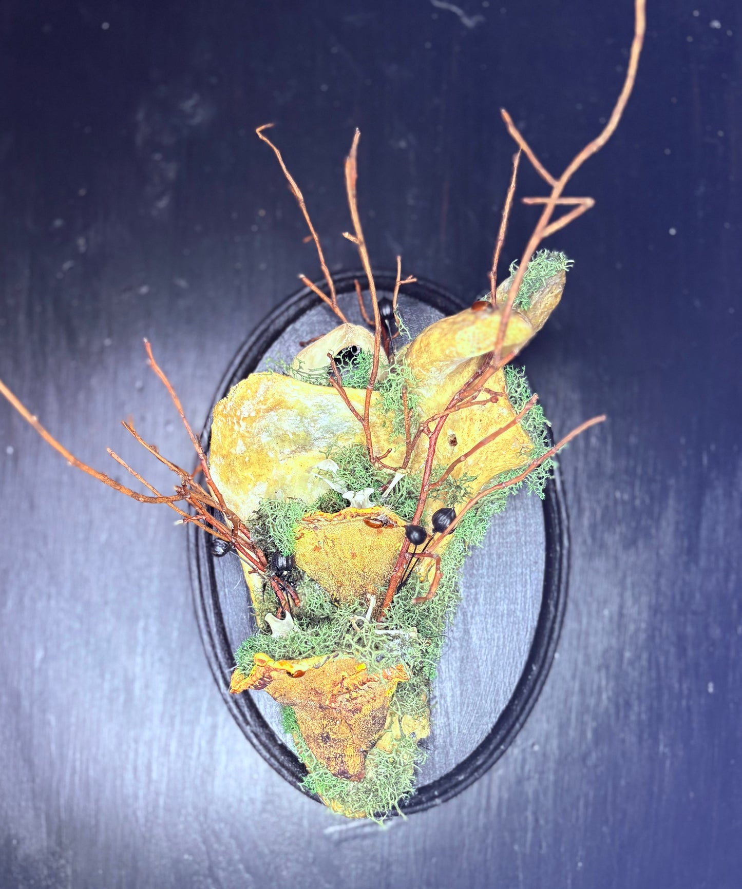 Human Scapula with Rat Bones, Ladybugs, and Rattlesnake Vertebrae