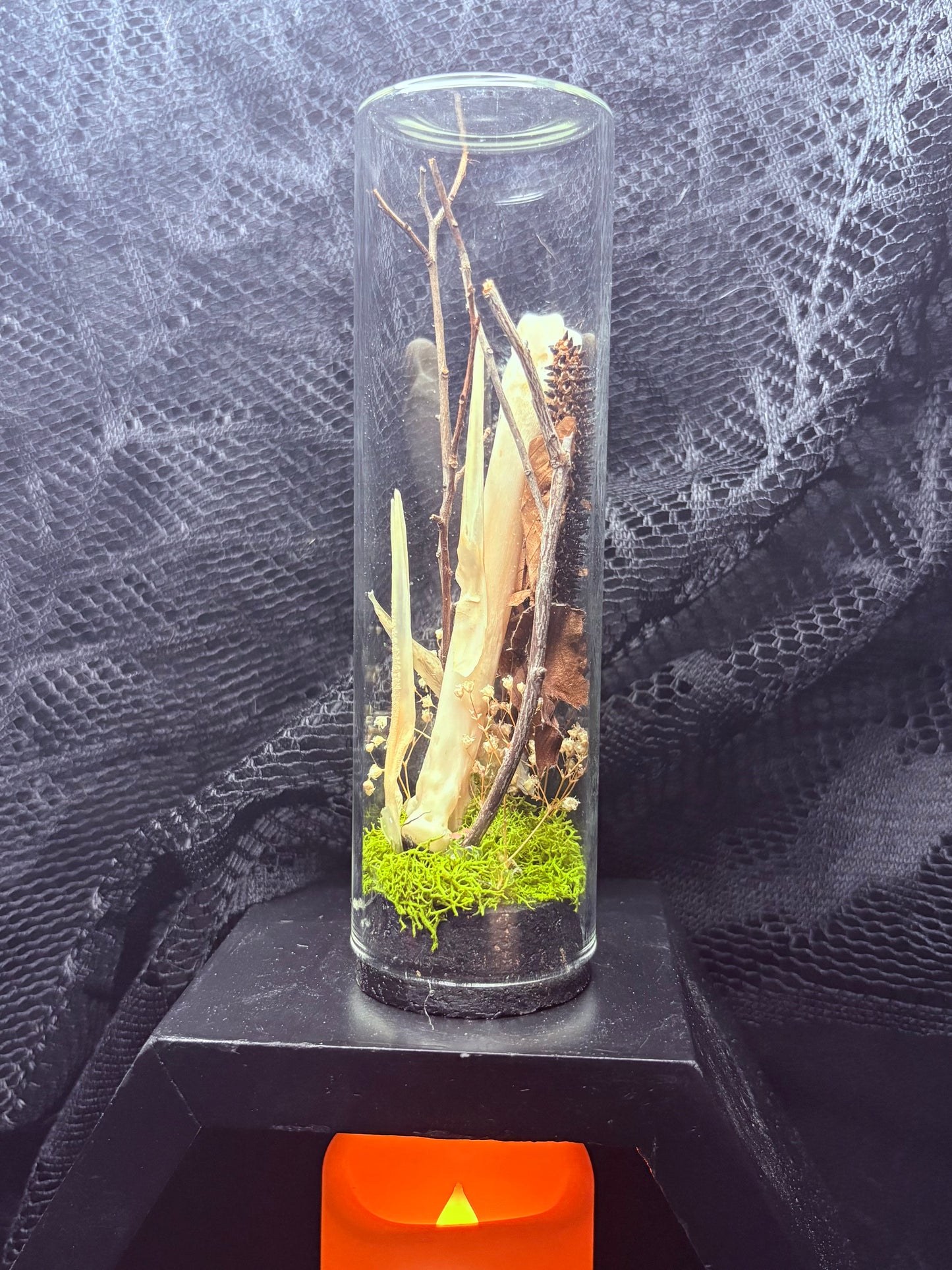 Gar Bones and Foraged Bones