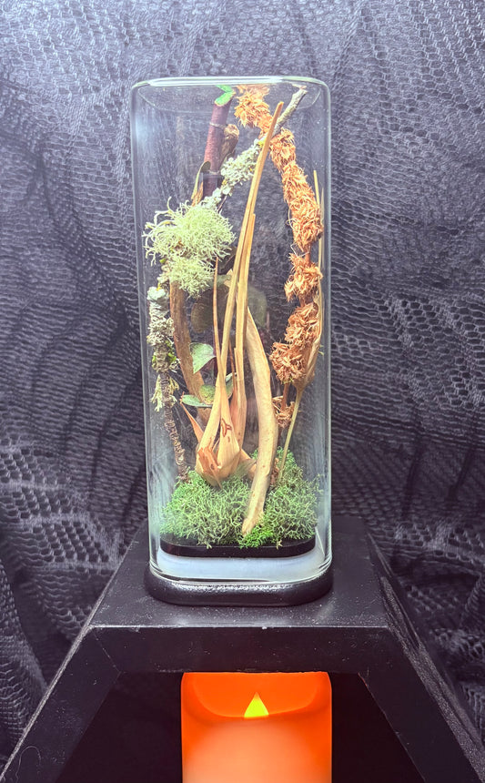 Deer Rib Bone Garden