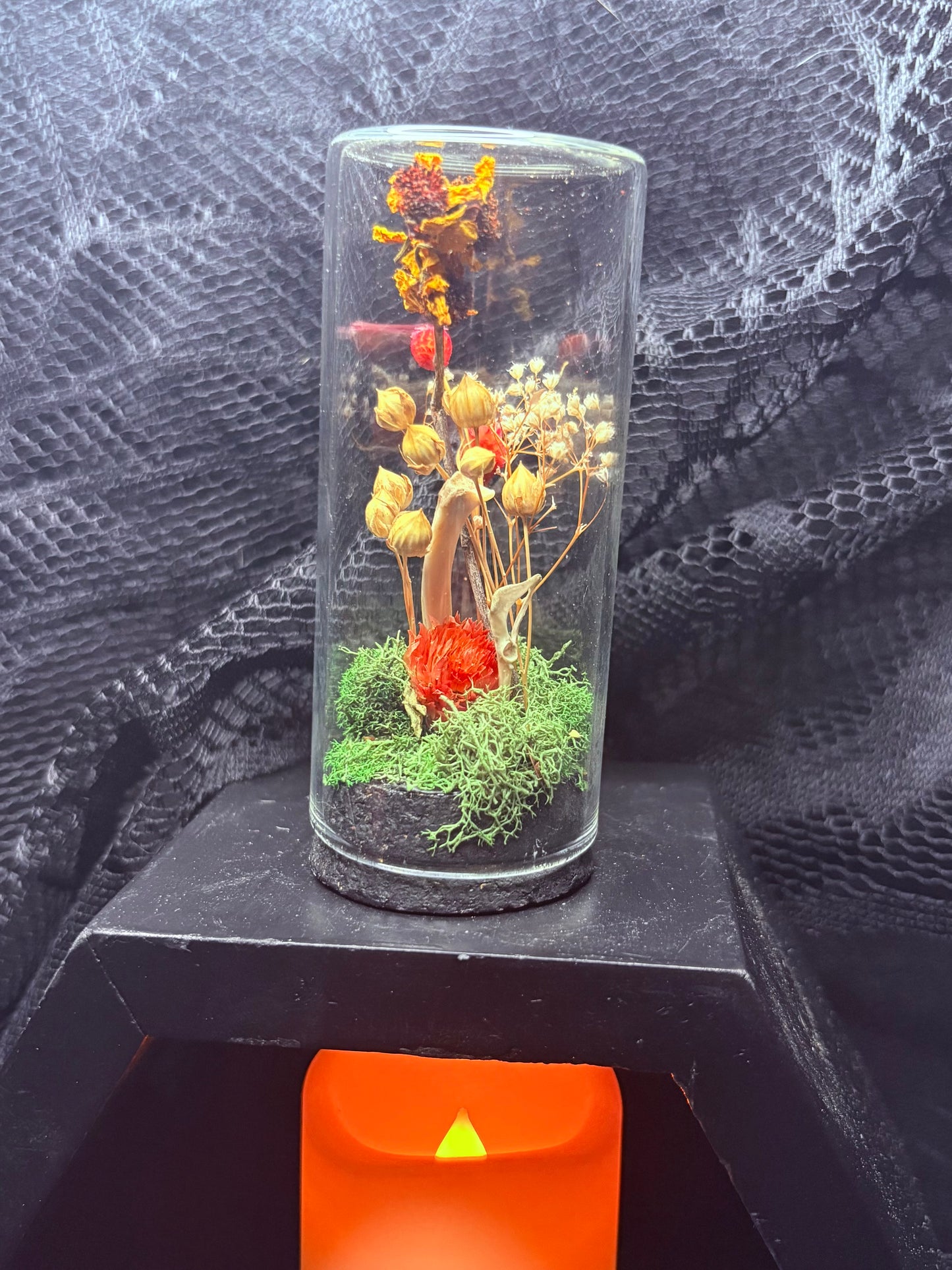 Rat Bones and Foraged Bones