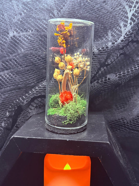 Rat Bones and Foraged Bones