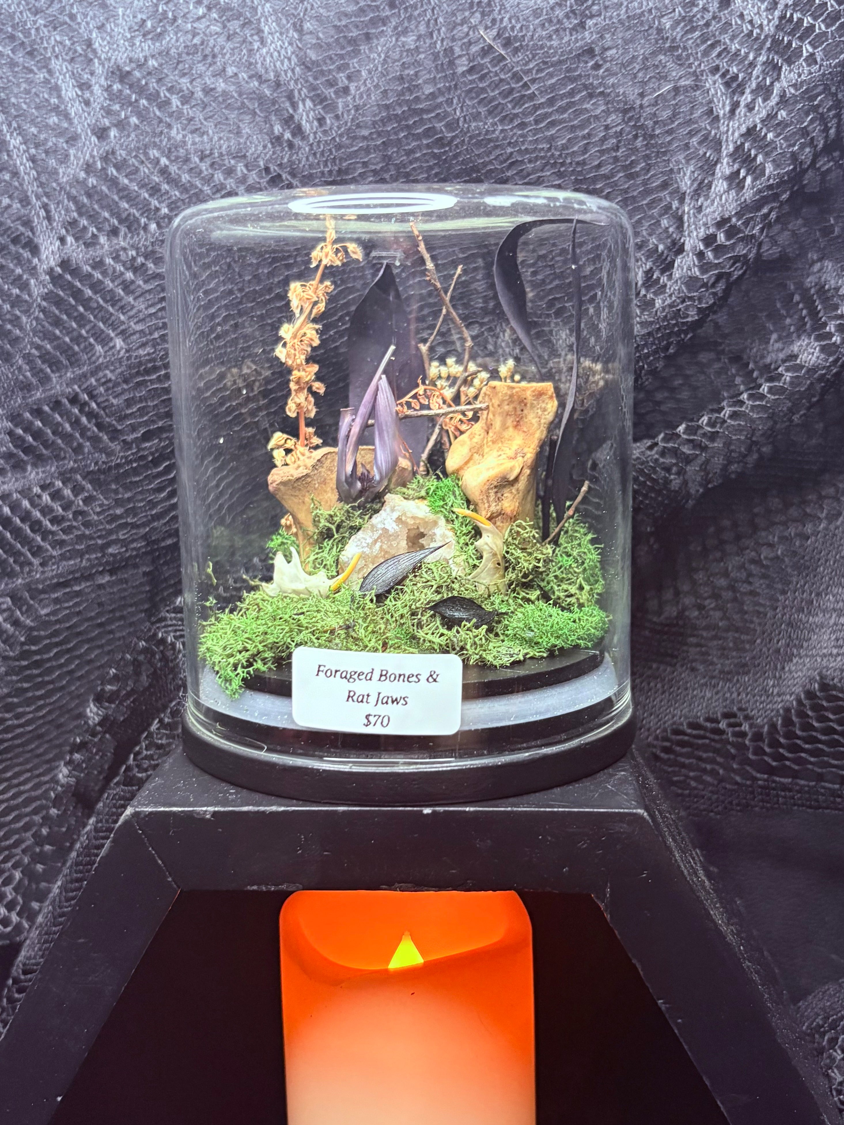 Foraged Bones and Rat Jaws – Ember and the Dead