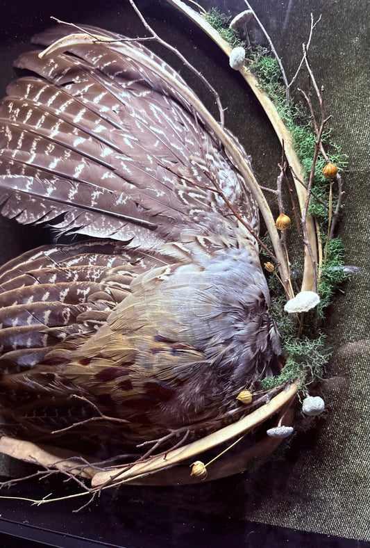 Pheasant Wing & Deer Ribs