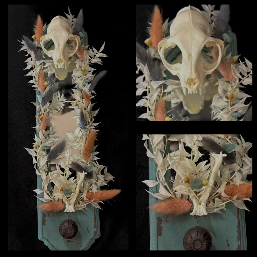 Cat Skull Mirror