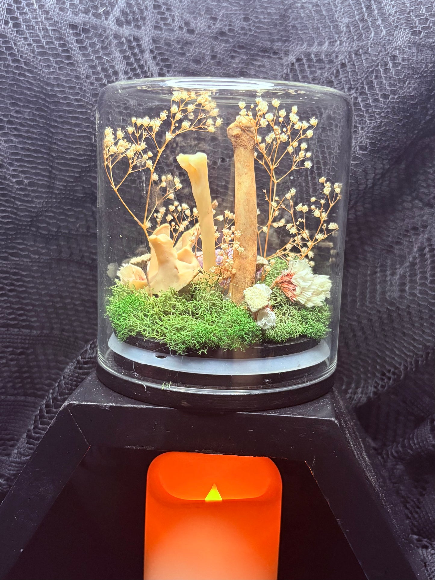 Possum Vertebrae, Amethyst, and Foraged Bones