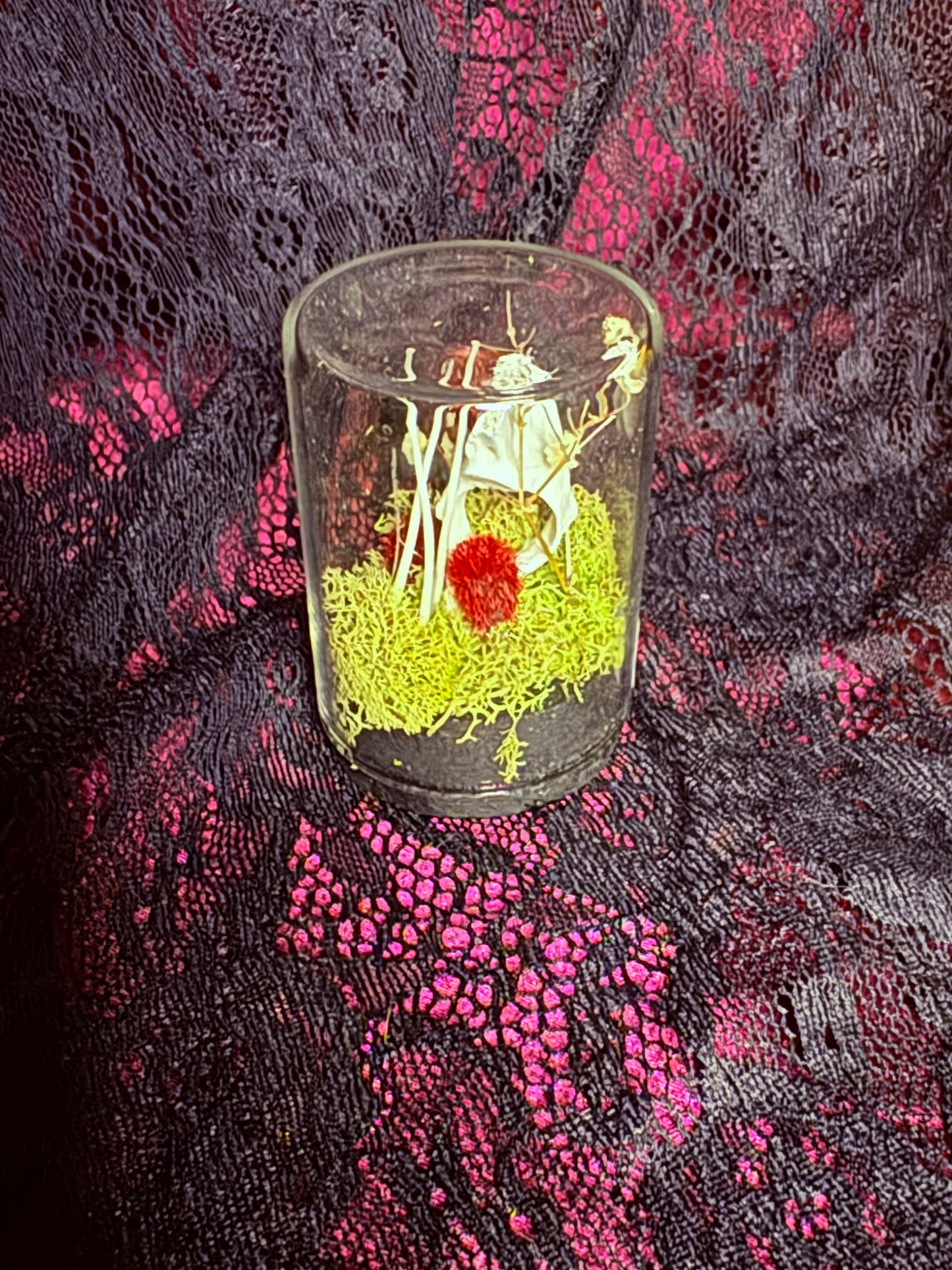 Ball Python Ribs and Raccoon Vertebrae