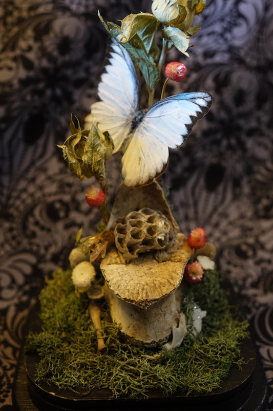 “A Fae’s Chair” Bell Jar