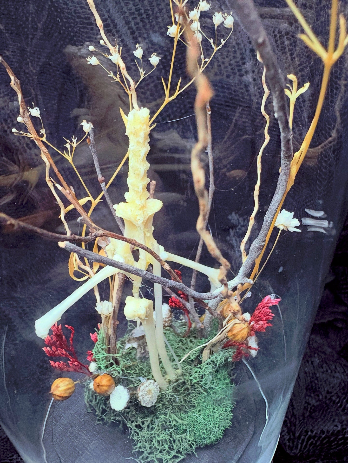 Bat Bones and Rat Skull