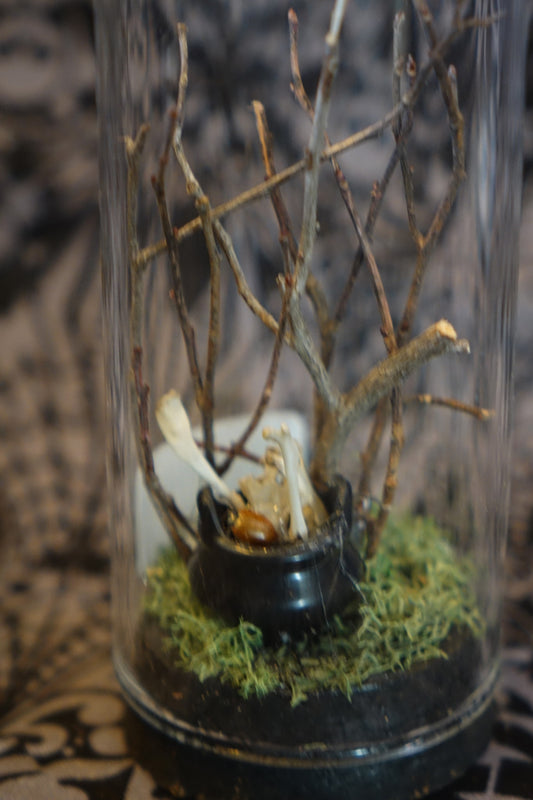 Rat Bone Cauldron