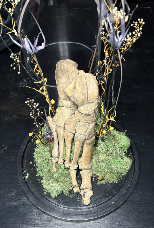 Human Foot Bell Jar