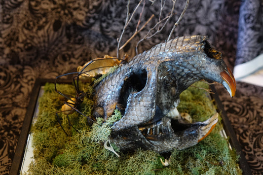 Decoupaged Beaver Skull & Orb Weaver