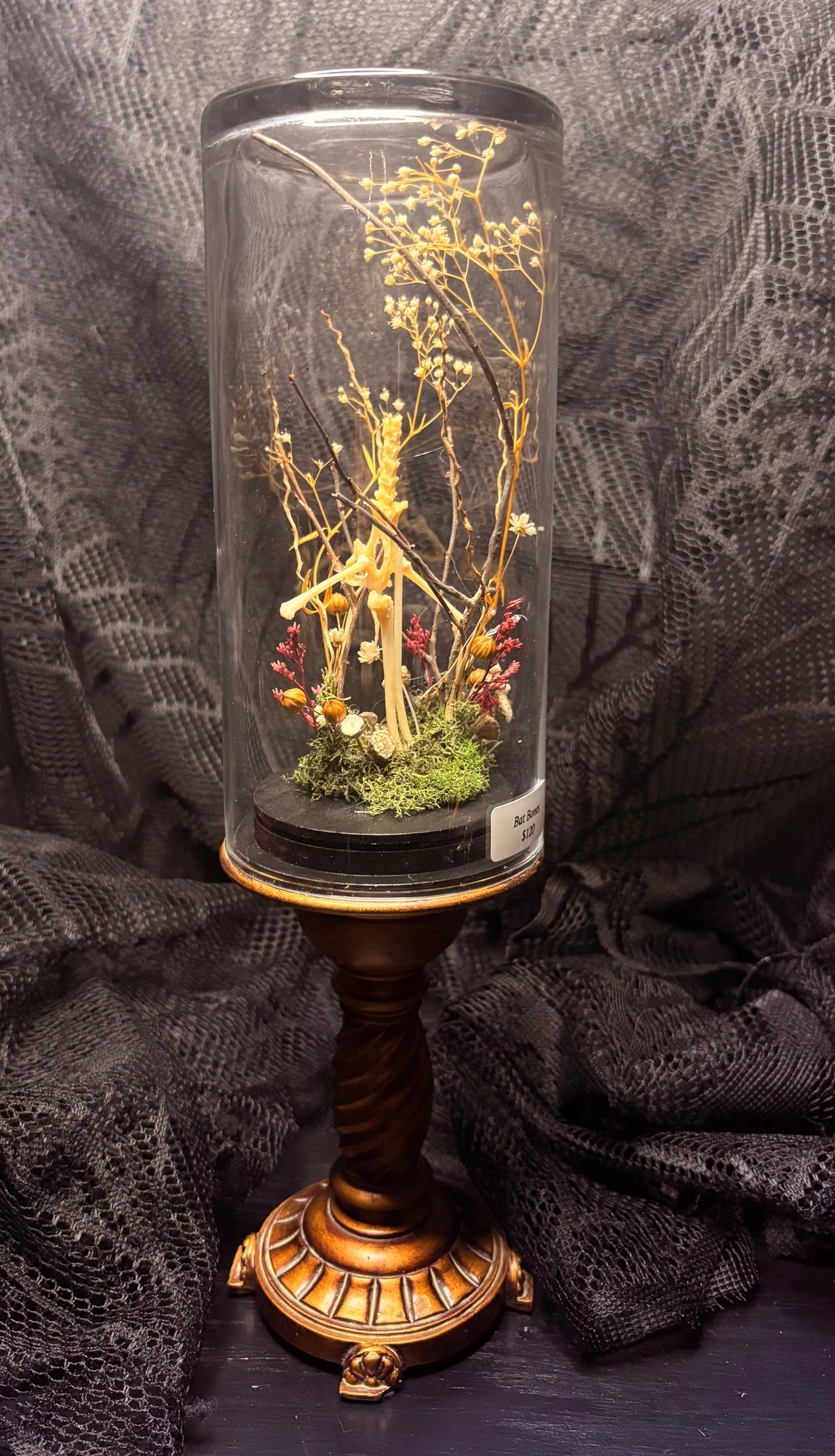 Bat Bones and Rat Skull