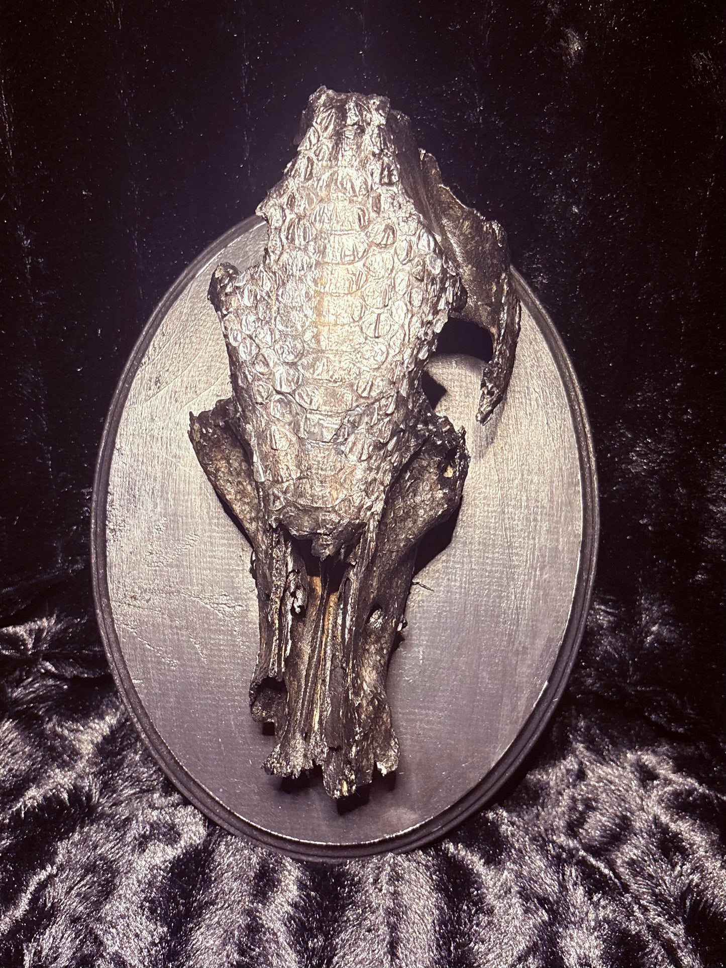 Deer Skull