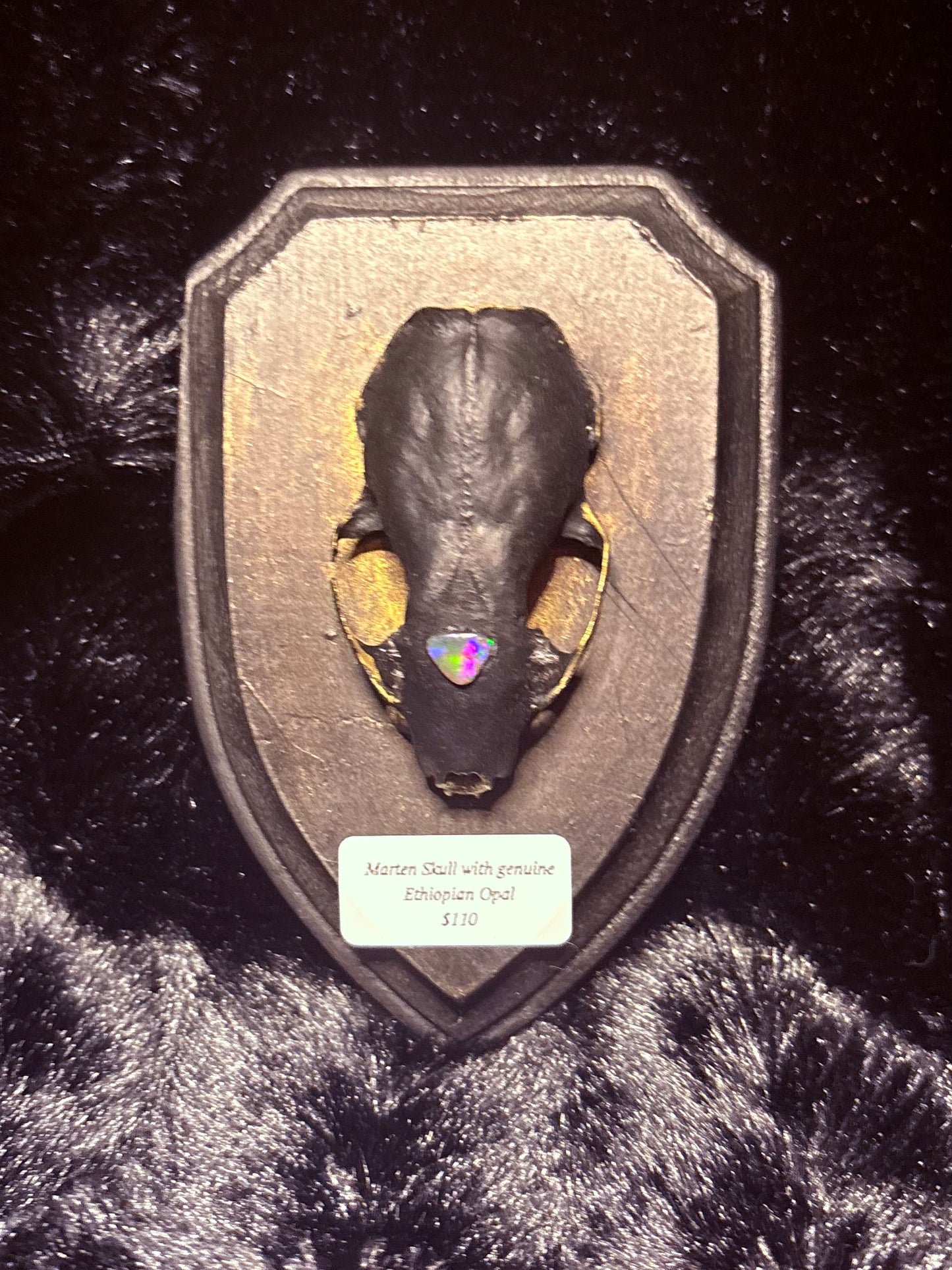 Marten Skull & Opal