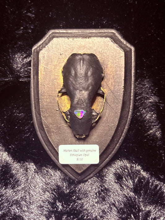Marten Skull & Opal