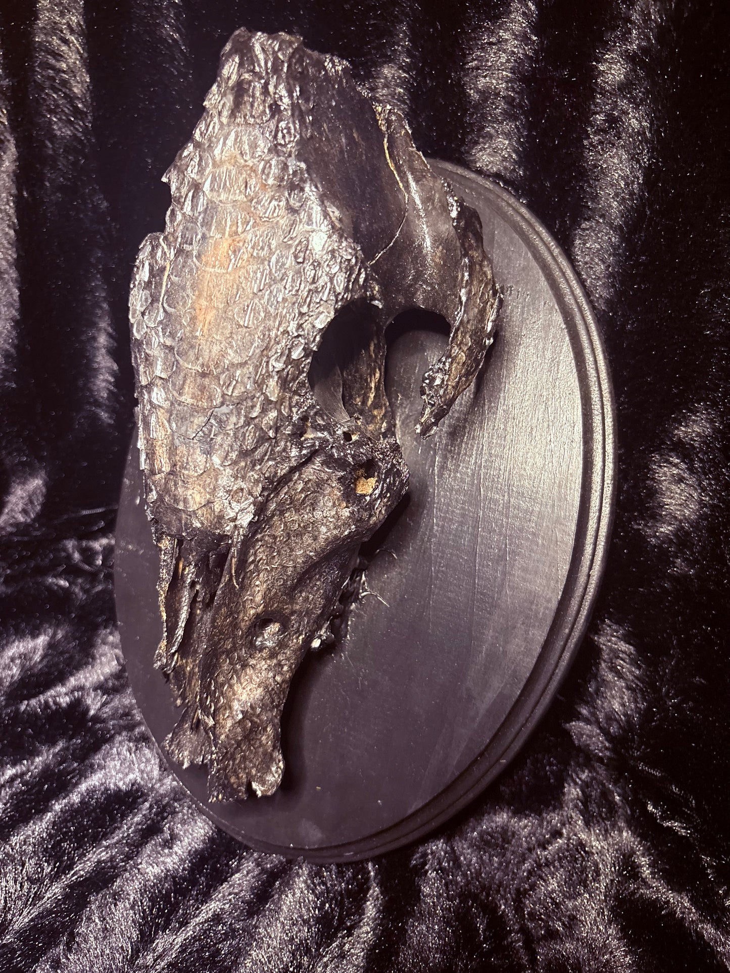 Deer Skull