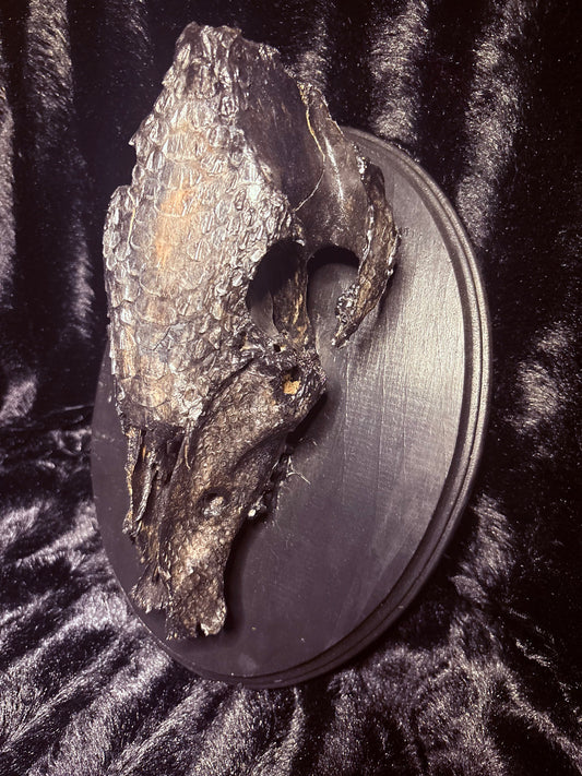 Deer Skull