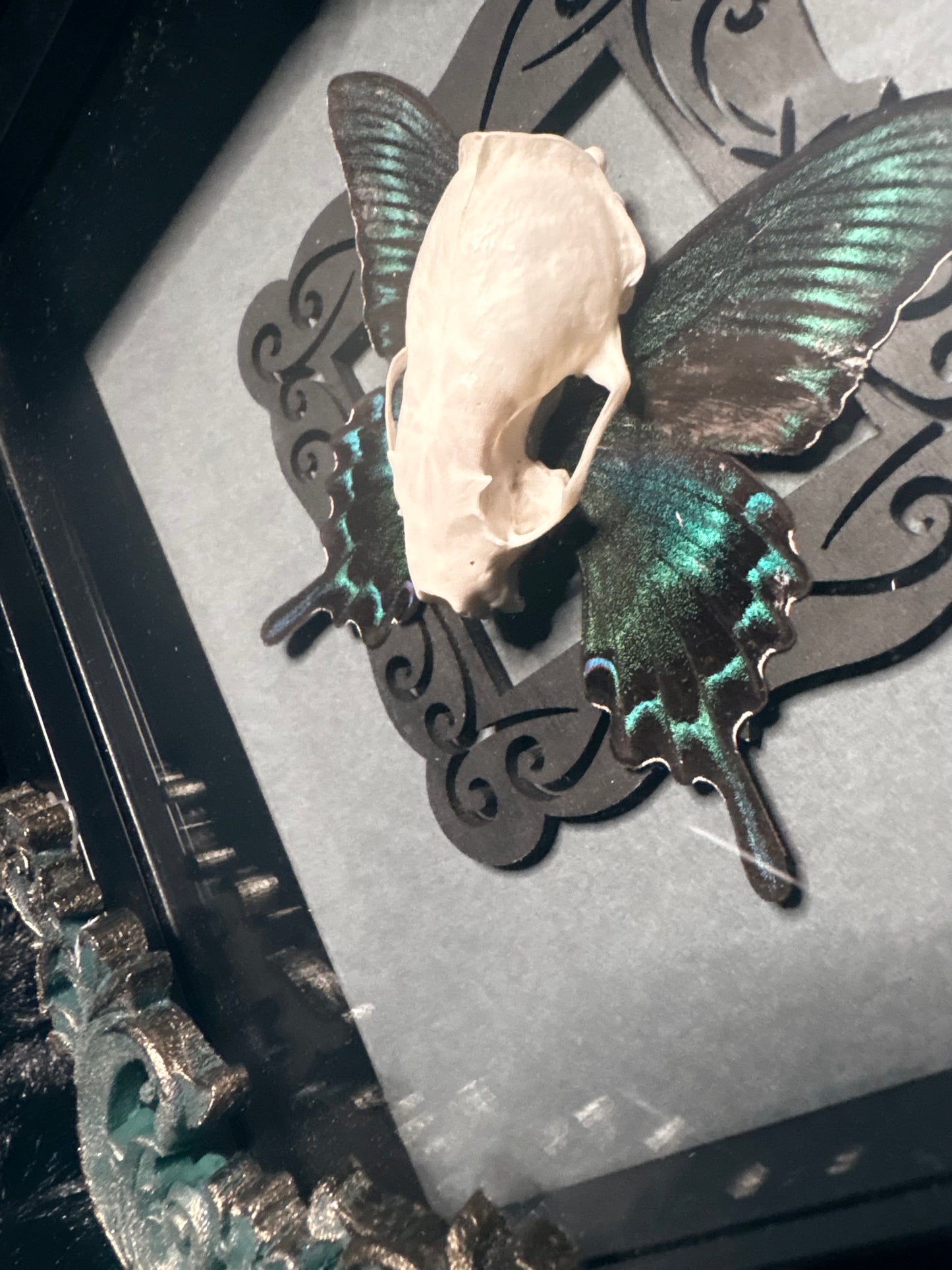 Black Alpine & Marten Skull